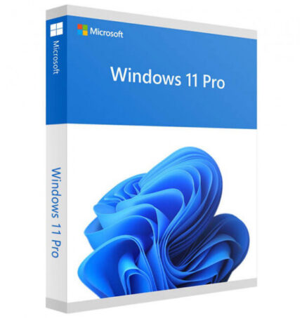 Windows 11 Professional Product Key