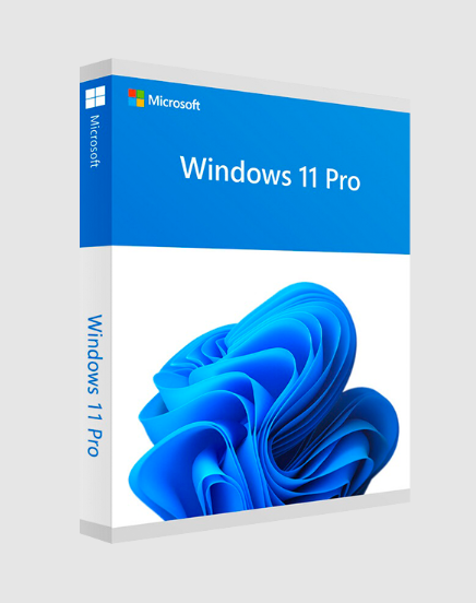 Windows 11 Professional License Key 1 PC 1 Buy Windows 11 Professional License Key